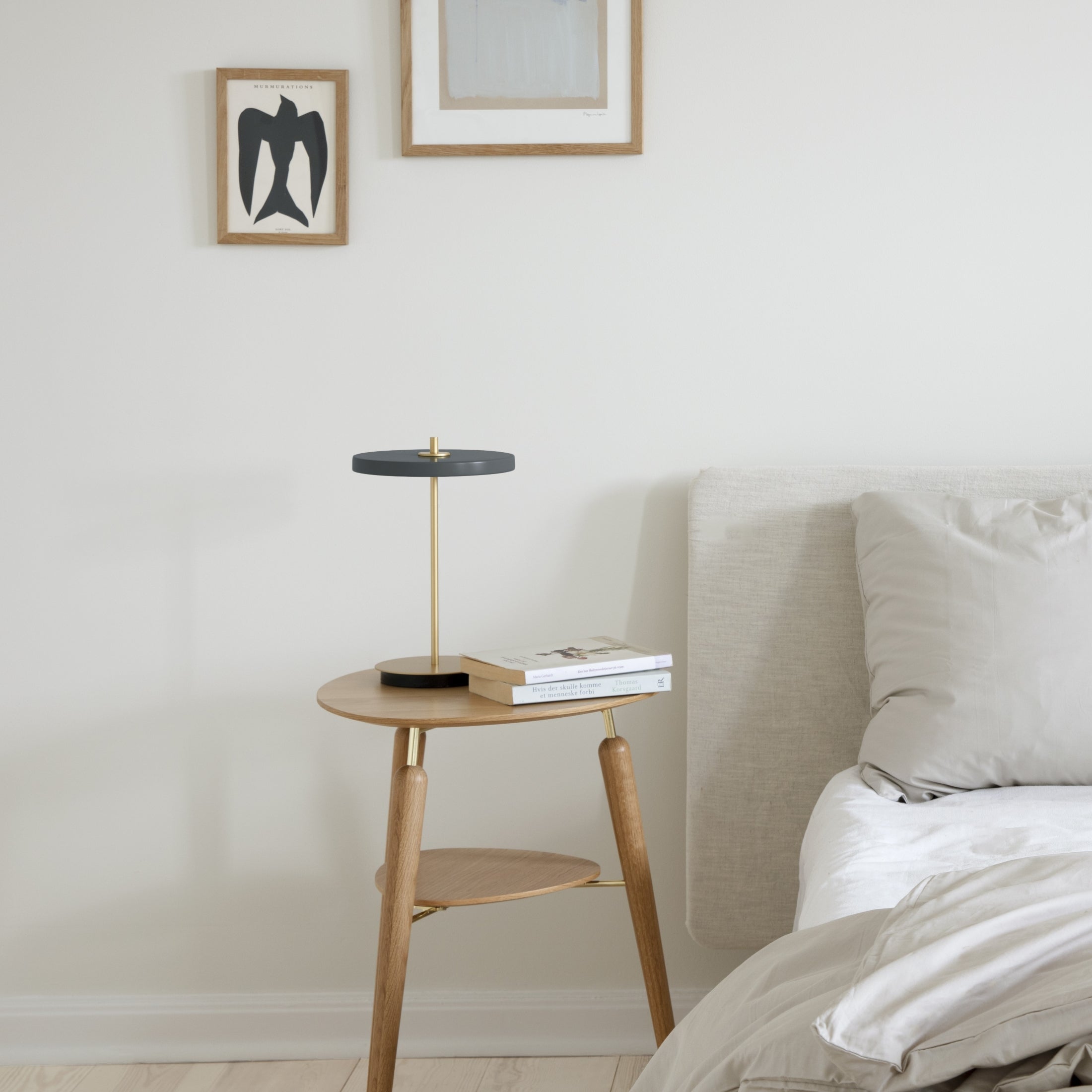 Battery Operated Lights | Cordless lamps | Loholighting